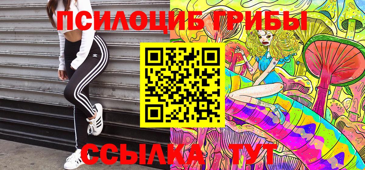 Галлюциногенные грибы Psilocybine cubensis Дальнереченск