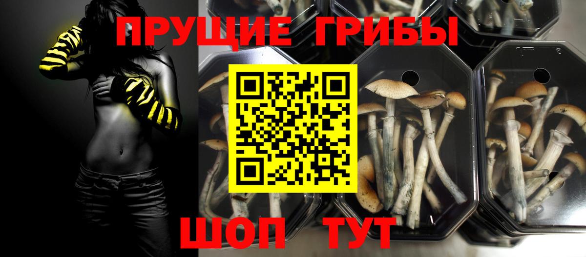 как найти закладки  Вход с VPN  Галлюциногенные грибы мухоморы  Дальнереченск  Галлюциногенные грибы мухоморы 